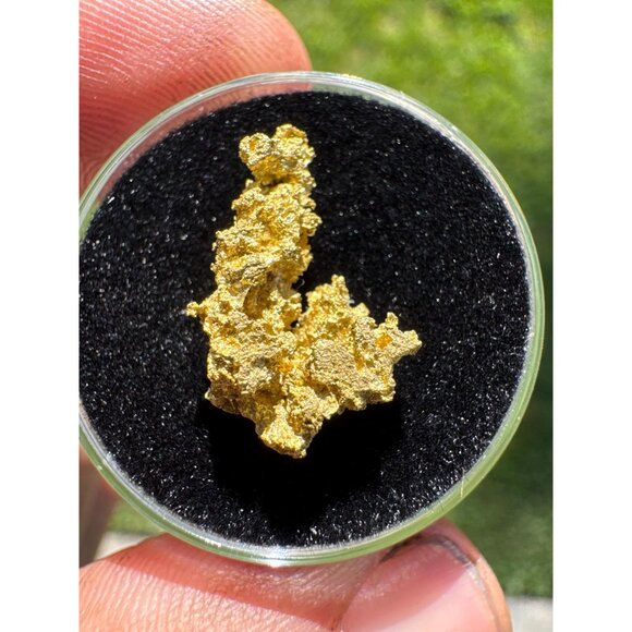 California Native Gold Crystal - 1.54 grams - Picture 7 of 7